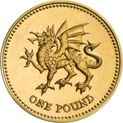 Image of 1995 1 pound coin